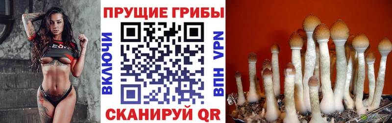 Галлюциногенные грибы Magic Shrooms Цоци-Юрт