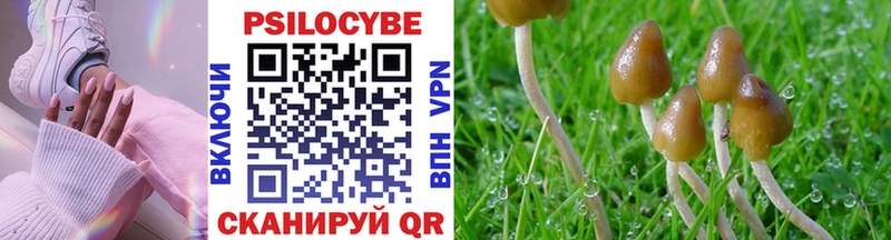 нарко площадка как зайти  Цоци-Юрт  Галлюциногенные грибы Magic Shrooms 
